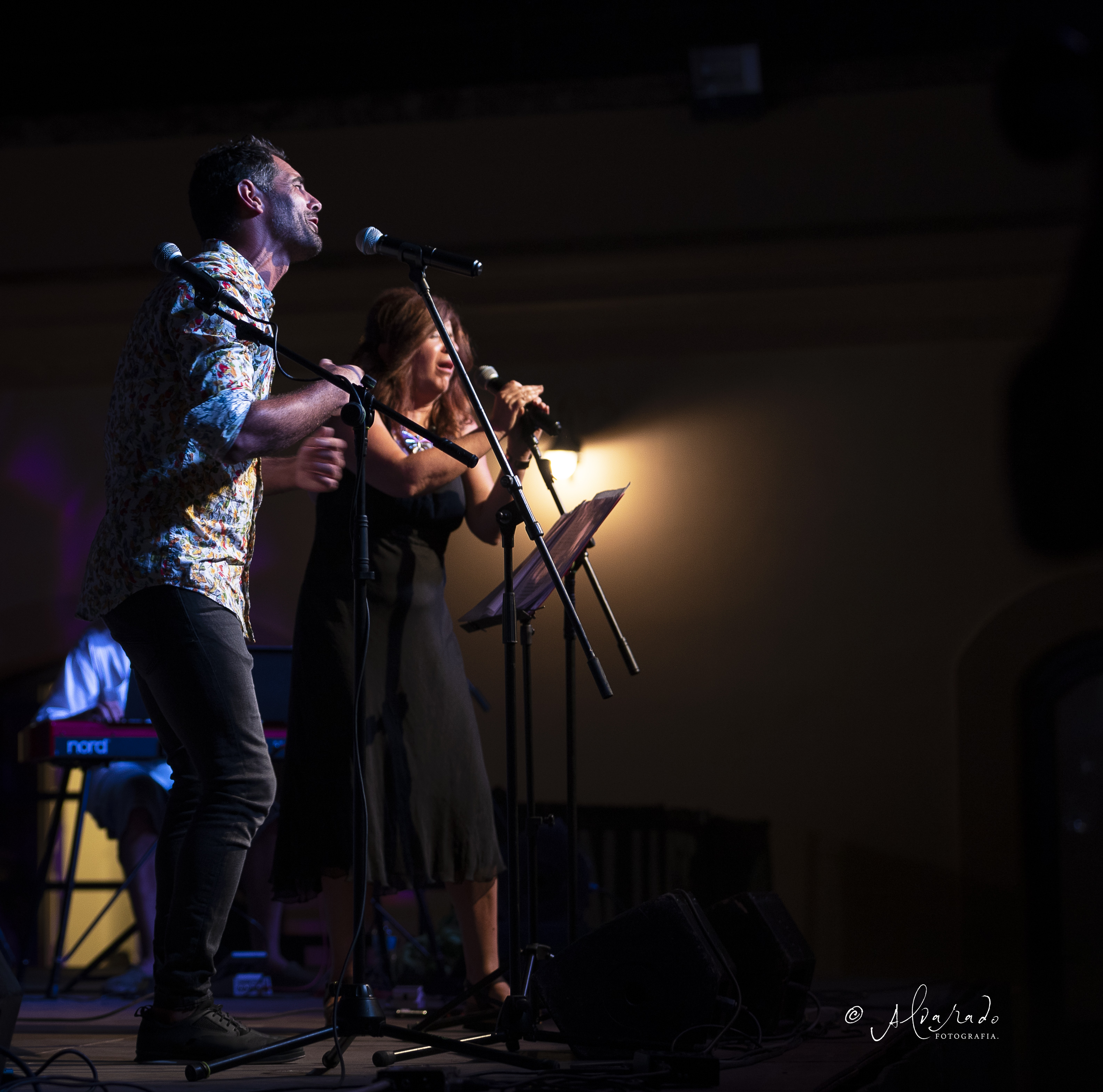 Concierto 85