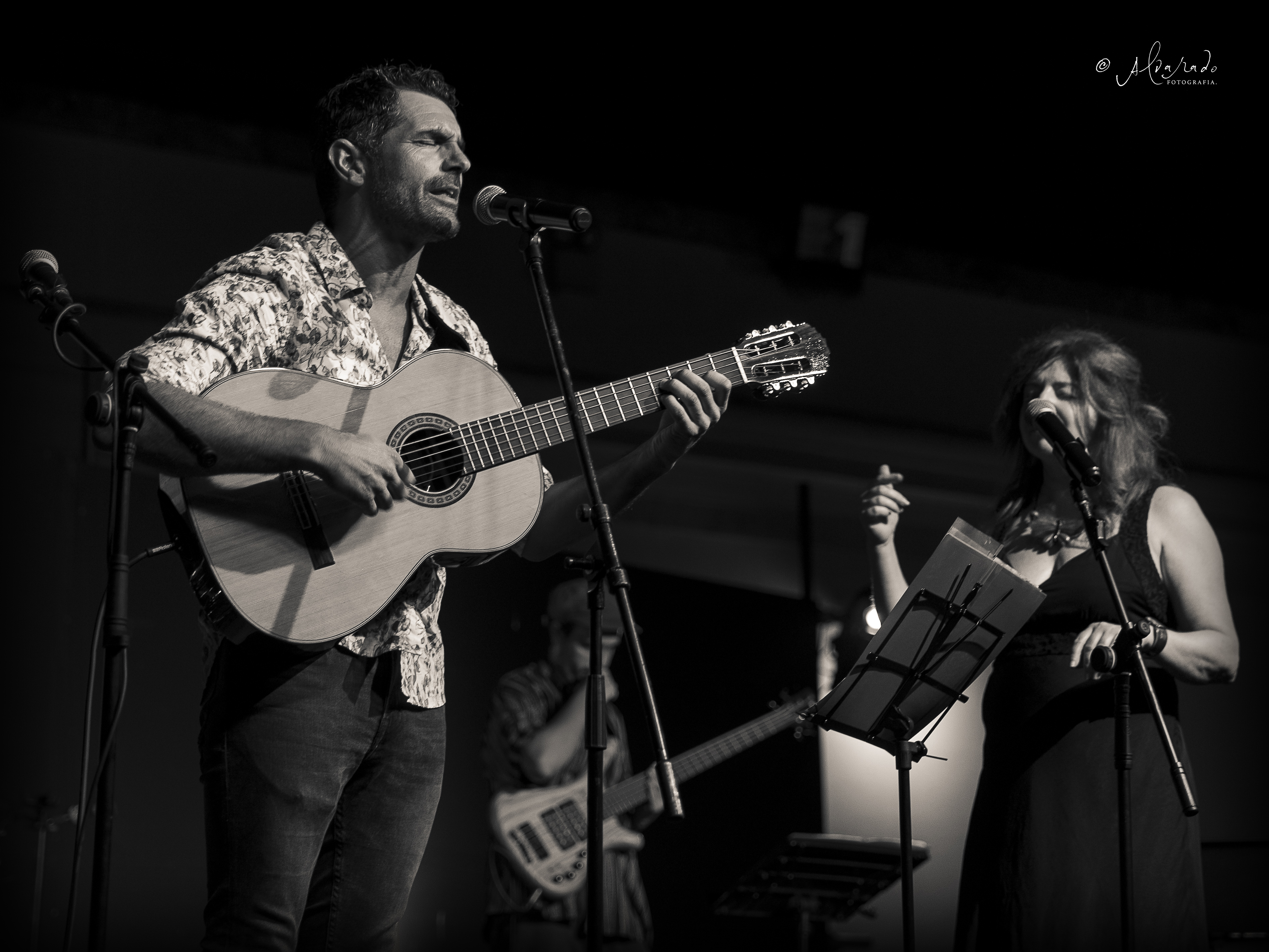 Concierto 86